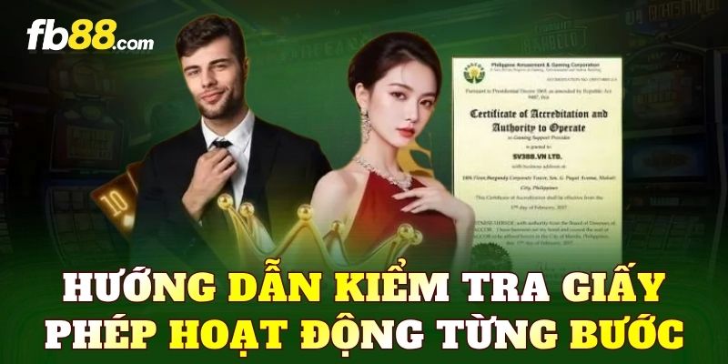 Hướng dẫn kiểm tra giấy phép hoạt động từng bước