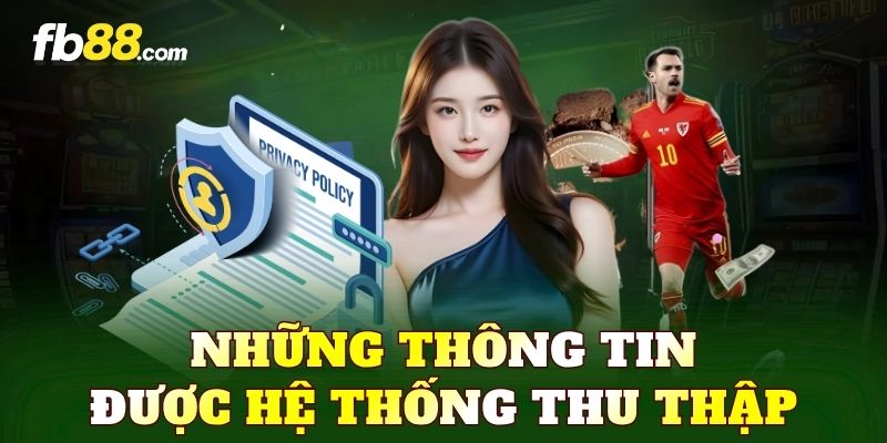 Những thông tin được hệ thống thu thập