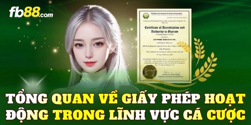 Tổng quan về giấy phép hoạt động trong lĩnh vực cá cược