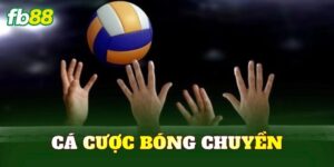 Cá Cược Bóng Chuyền