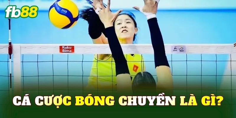 Cá cược bóng chuyền là gì?