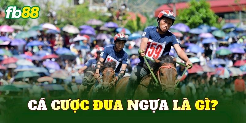Cá cược đua ngựa là gì?