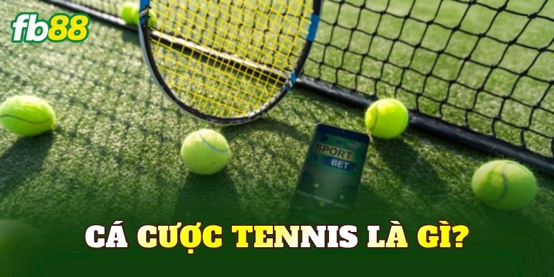 Cá cược tennis là gì?