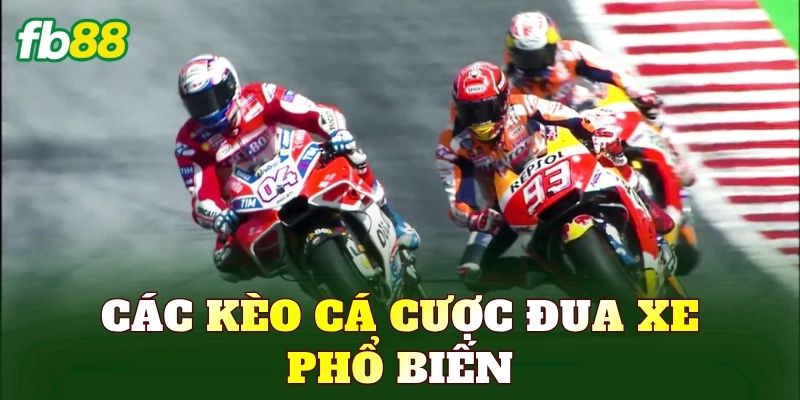 Các kèo cá cược đua xe phổ biến