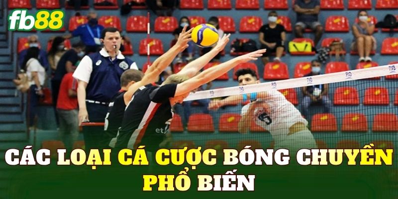 Các loại cá cược bóng chuyền phổ biến