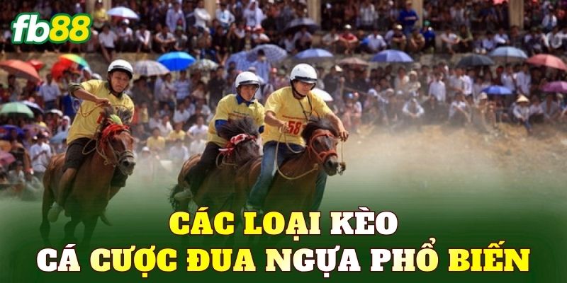 Các loại kèo cá cược đua ngựa phổ biến