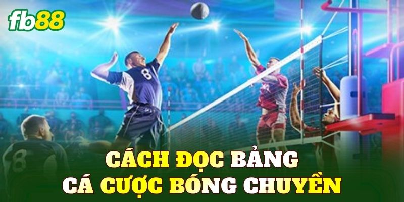 Cách đọc bảng cá cược bóng chuyền