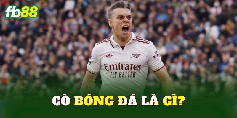 Cò bóng đá là gì?