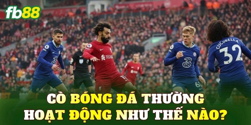 Cò bóng đá thường hoạt động như thế nào?