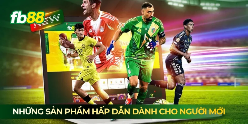Những sản phẩm hấp dẫn dành cho người mới Những sản phẩm hấp dẫn dành cho người mới